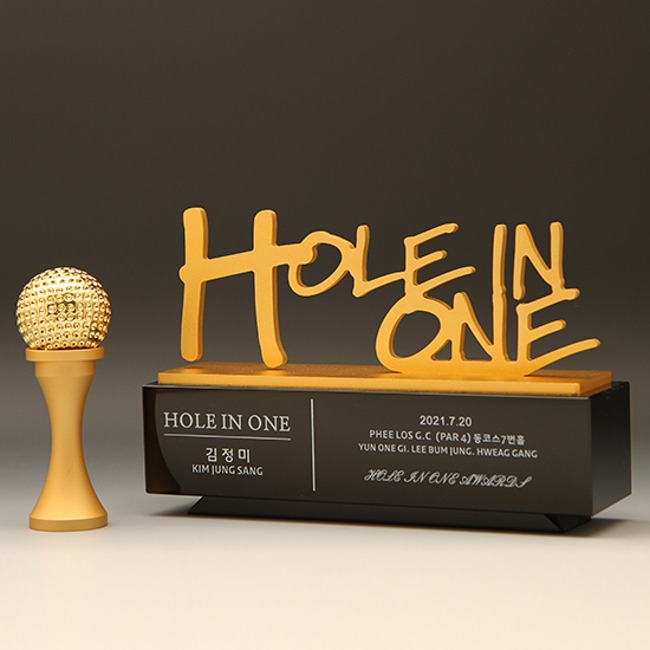 홀인원 골프 금속 트로피 상패 E3119 (골프티별매)